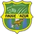 Jeunes Fauves